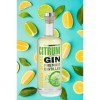 Citrum Gin Premium Distilled Citrus Spices 700 ml