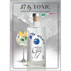 Distilleria Jannamico GIN J7 – Gin botanique haut de gamme des montagnes italiennes – Goût balsamique incroyable - 700 ML