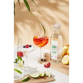 GIN FRANCAIS - GRANDS DOMAINES, 70cl, 40% alc, Certifié Ecocert.…