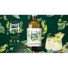 Mr H - Französischer Premium-Gin im Geschenkset, vegan, hergestellt im Elsass - 40% 1 x 0.5 L 