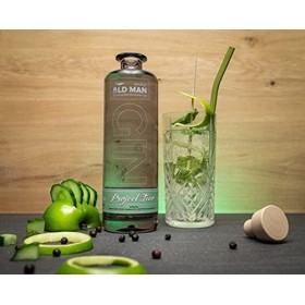 Spirits of Old Man Gin PROJECT TWO Apfel & Gurke 42% Vol. 0,5l