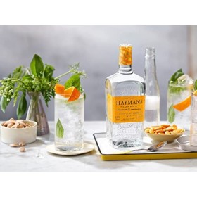 Haymans of London EXOTIC CITRUS GIN 41,1% Vol. 0,7l