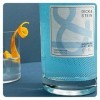 Dick & Stein European Dry Gin 45,7% Vol. 0,5l