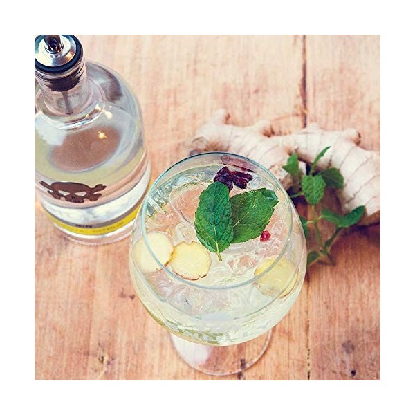 Skully Oriental Citrus Gin 0.7L 41.8% Vol. 