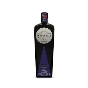 Scapegrace UNCOMMON Premium Dry Gin Central Otago Early Harvest 40,8% Vol. 0,7l