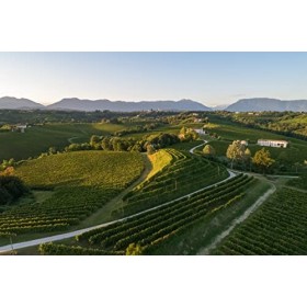 Boîte avec kit de poker avec bouteille de Brut DOCG de 750 ml + tire-bouchon offert - Récolte à la main - Al Canevon - Idée c