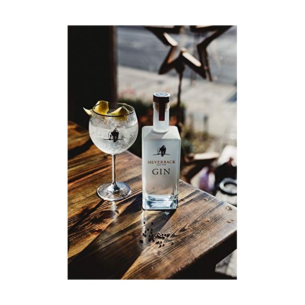 GIN OLD TOM PREMIUM GIN 70 CL