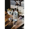 GIN OLD TOM PREMIUM GIN 70 CL