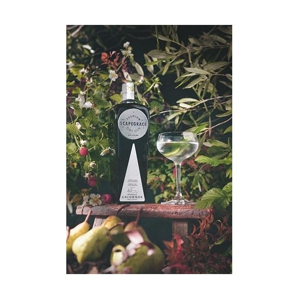 Scapegrace UNCOMMON Premium Dry Gin Hawkes Bay Late Harvest 40,8% Vol. 0,7l