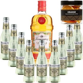 Pack Gintonic - Gin Tranqueray Flor de Sevilla + 9 Fever Tree Ginger Beer Water - 70cl + 9 * 20cl + Pot de 20 tranches dOr