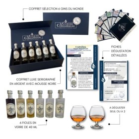 Coffret Dégustation Gin Du Monde 6 x 40ml - En Solo Ou Duo