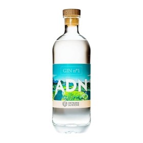 GIN n°1 ADN