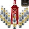 Pack Gintonic - Gin Bombay Raspberry + 9 Fever Tree Indian Premium Water - 70cl + 9 * 20cl + Pot de 20 tranches de Citron j