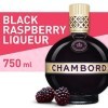 Chambord Brandy Loire Valley Framboise Liqueur 50 cl