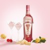 amarula raspberry chocolate