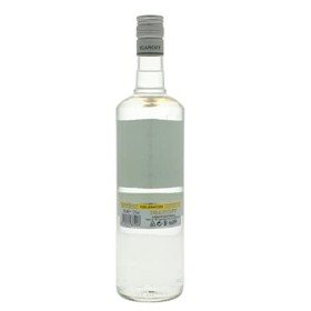 Iganoff Citron 1,0L 37,5% Vol. 