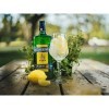 Becherovka Morava Carlsbader Liqueur 70 cl