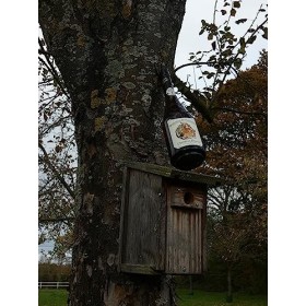 CHRISTIAN DROUIN - Pommeau de Normandie - Pommeau - 17% Alcool - Origine : France/Normandie - Bouteille 70 cl