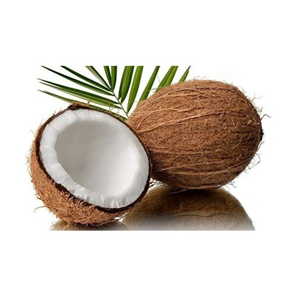 Coconut Liqueur Cocco Siffredi - Made in Italy - 70 Cl Bootle Booze - 21% Vol