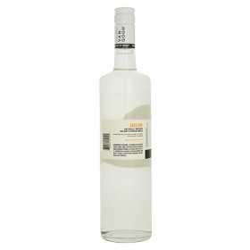 Van Gogh Melon 1,0L 35% Vol. 