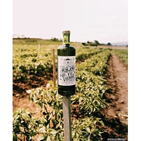 ANCHO REYES liqueur de Piment Vert 700 ml