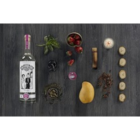 Mezcal Siete Misterios Coyote 70cl