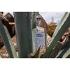 Ojo de Tigre Mezcal Artesana Joven 100% Agave 37% Vol. 0,7l