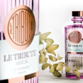 Le Tribute Mezcal Durango México 45% Vol. 0,7l