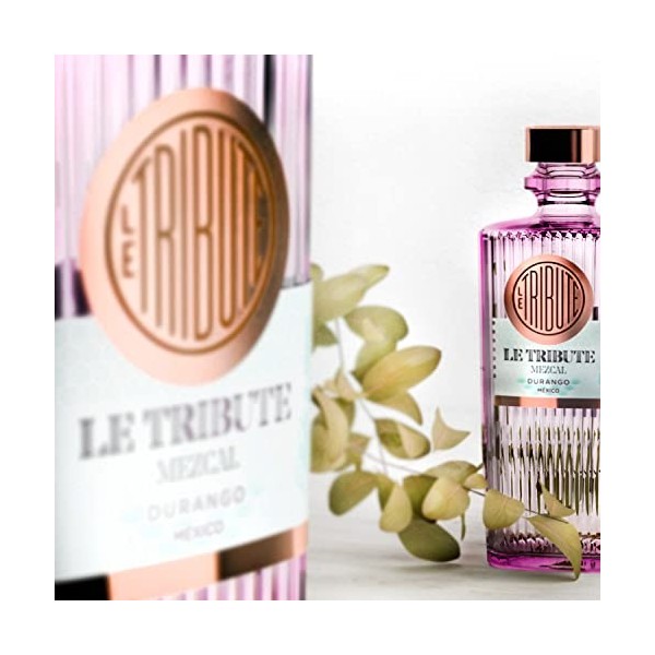 Le Tribute Mezcal Durango México 45% Vol. 0,7l