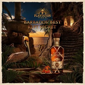 PLANTATION RUM - XO 20th Anniversary - Rhum - 40% Alcool - Origine Barbade - Bouteille 35 cl