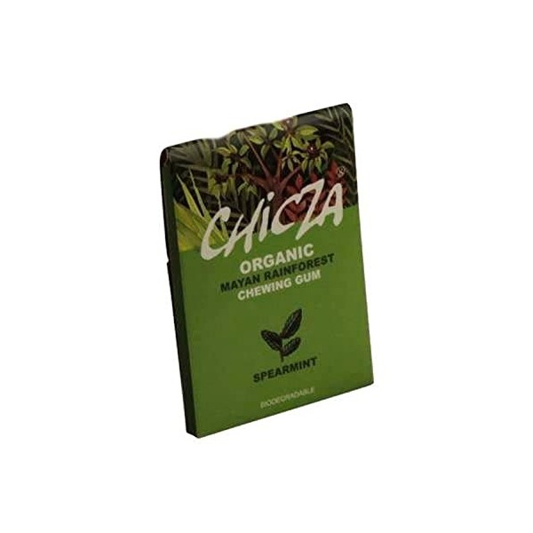 Chicza - Chewing Gum alla Cannella 30g BIO