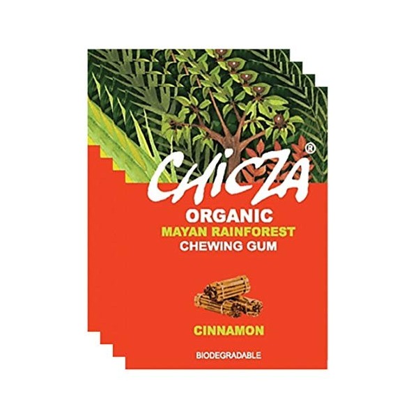Chicza - Chewing Gum alla Cannella 30g BIO