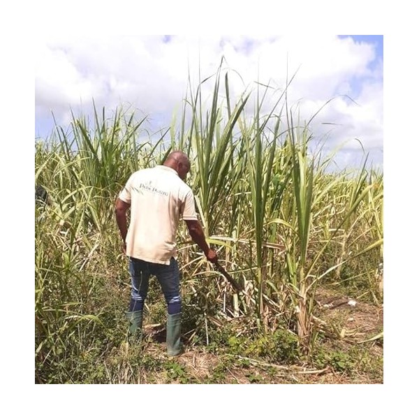 PAPA ROUYO - Rhum Vieux Colonne Jénérasyon - 46% Alcool - Origine : Guadeloupe - Bouteille 70 cl