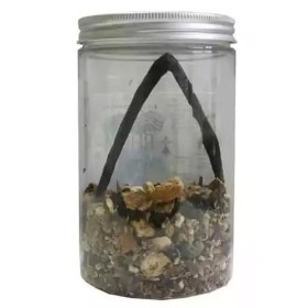 RUE DES PLANTES - Kit de préparation pour rhum arrangé Breton 50g