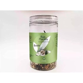 RUE DES PLANTES - Kit de préparation pour rhum arrangé exotic 50g