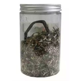 RUE DES PLANTES - Kit de préparation pour rhum arrangé exotic 50g