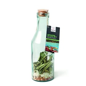 Mélange pour rhum arrangé Paradise Island mix en carafe