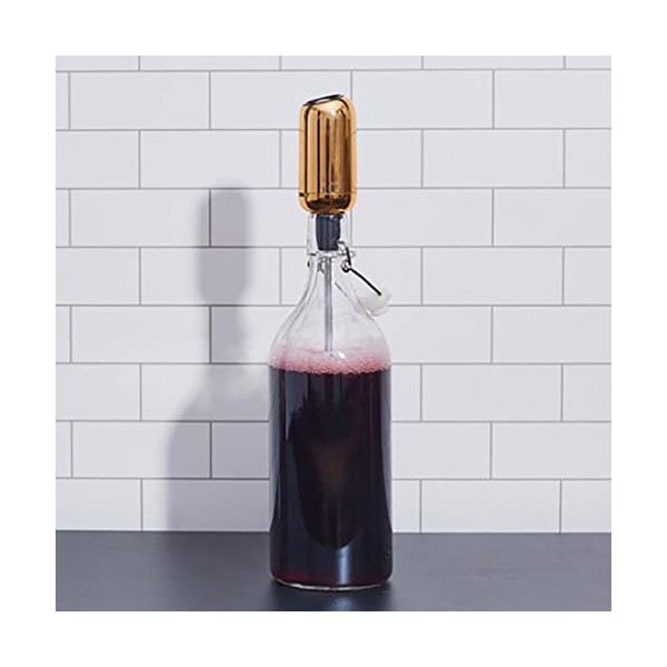 With Molly Aérateur de vin qui rend le saké amer sucré et délicieux