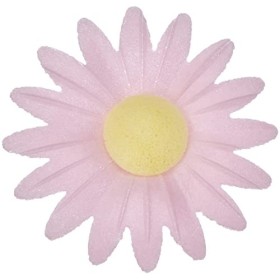 Scrapcooking 2262 Décos Azymes 18 Marguerites Ingrédients Multicolore 8 x 9,5 x 9,5 cm