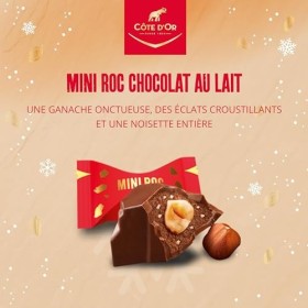 Côte dOr – Mini Roc Lait – 1 Boîte 279 g