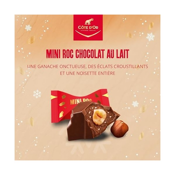 Côte dOr – Mini Roc Lait – 1 Boîte 279 g