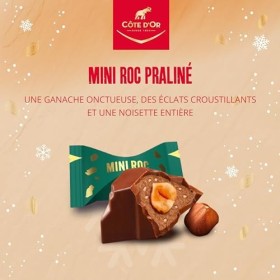 Côte dOr – Mini Roc Praliné – 1 Boîte 279 g
