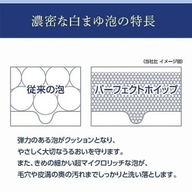 Senka Nouveau! Paquet double fouet parfait 12g x 2