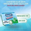 Hollywood Oral B - Chewing-Gum Sans Sucre Au Fluor - Parfum Menthe Verte - Soin Dentaire - Pour des Dents Saines - Haleine Fr
