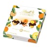 Lindt - Cornet LINDOR Caramel Pointe de Sel - Chocolat au Lait - Cœur Fondant Caramel - Idéal pour Noël, 337g