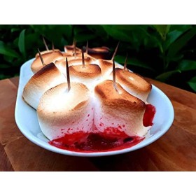 Rocky Mountain Marshmallows MEGA 340 g paquet de 2, bonbons américains traditionnels à rôtir sur le feu de camp, à griller ou