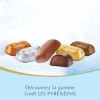 Lindt - Calendrier de lAvent LES PYRÉNÉENS - Assortiment de Chocolats au Lait et Noirs Frais et Fondants - Idéal pour Noël, 