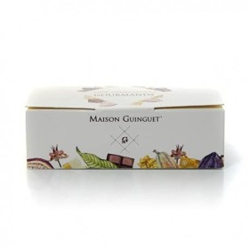 Ballotin de Chocolat Assortis Maison Guinguet Artisan Chocolatier 200g