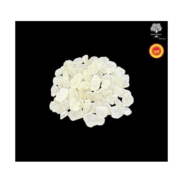 Mastic de Chios Grecque Mastiha Moyennes Larmes 25g - 460g Qualité Supérieure Très Fraîche 40 grammes 