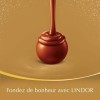 Lindt - Coffret Tradition LINDOR Métal - Assortiment de Chocolats au Lait, Lait-Noisette, Noirs et Blancs - Cœur Fondant - 40